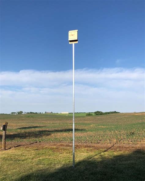 csn you put a bat house on a metal pole|bat box mounted on pole.